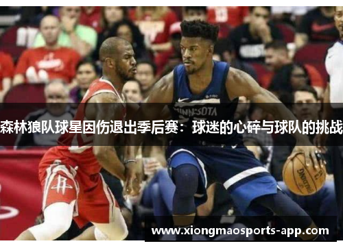 森林狼队球星因伤退出季后赛：球迷的心碎与球队的挑战